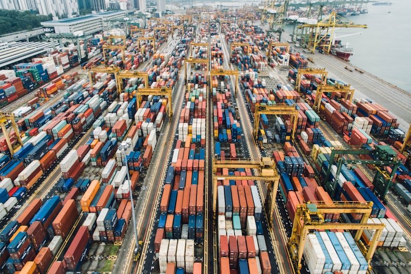 What is India's Most Profitable Export? (Top Products in High Demand)
